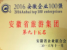 2016年度安徽企業(yè)100強