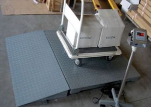 專業(yè)直供 1噸、2噸、3噸電子地磅與配套網(wǎng)絡(luò)技術(shù)服務(wù)，一站式解決方案