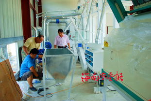 中建農場投資興建南呂香大米加工廠的投資管理策略與實踐